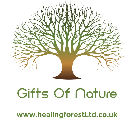 Healing Forest