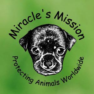 Miracle's Mission