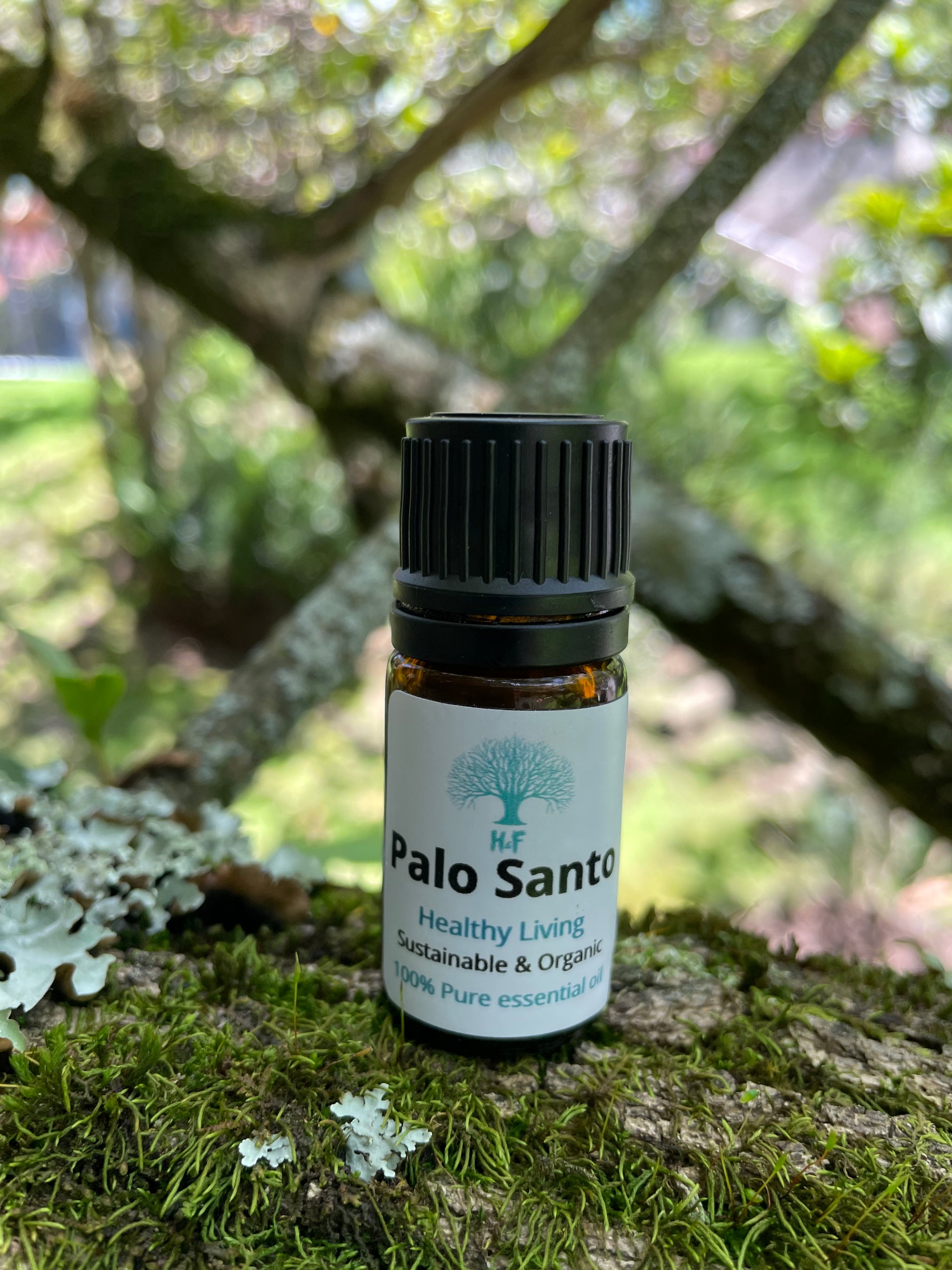 Palo santo oil deals